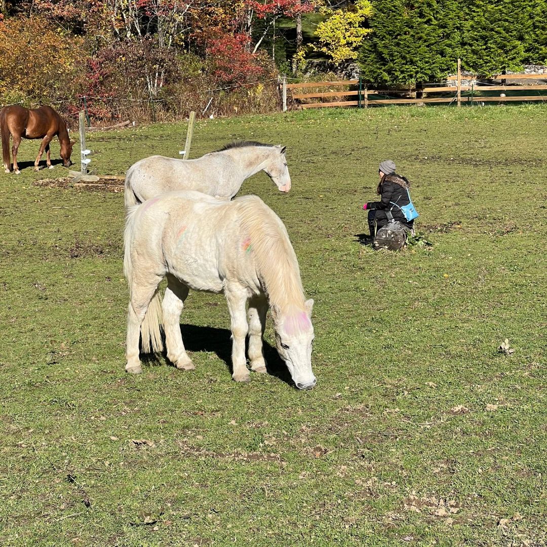 Finding Peace in the Paddock™ Wellness Based